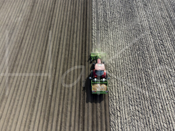 Aardappelteelt (DJI_0796)