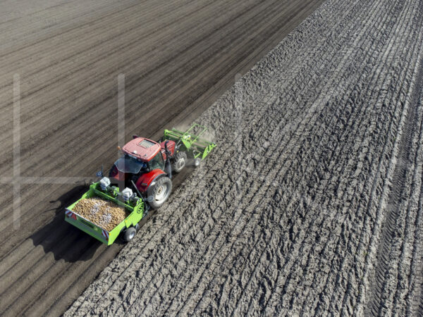 Aardappelteelt (DJI_0805)