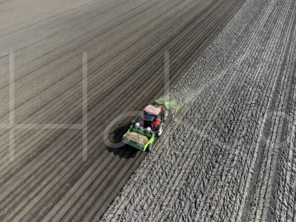 Aardappelteelt (DJI_0806)
