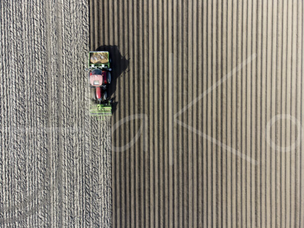 Aardappelteelt (DJI_0819)
