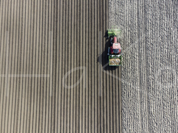 Aardappelteelt (DJI_0821)