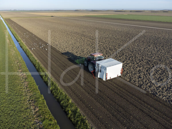 Spruitenteelt (DJI_0878)