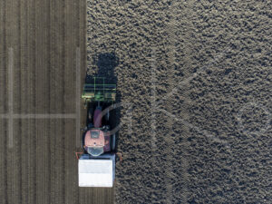 Spruitenteelt (DJI_0886)