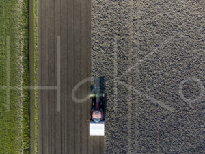 Spruitenteelt (DJI_0887)