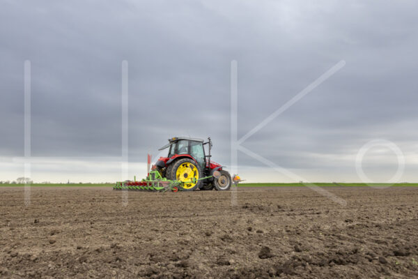 Suikerbietenteelt (Y3A4040)