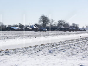 Schapen (16B7963)