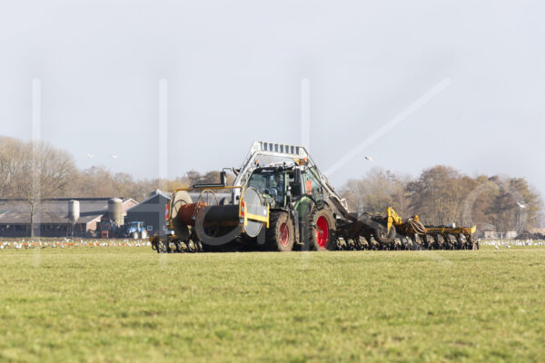Overige veeteelt (16B8000)