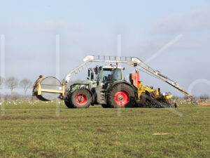 Overige veeteelt (16B8032)