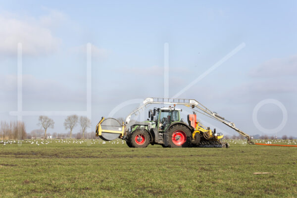 Overige veeteelt (16B8035)