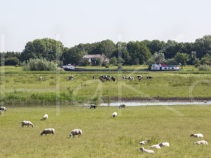 Landbouwlandschap (16B9052)
