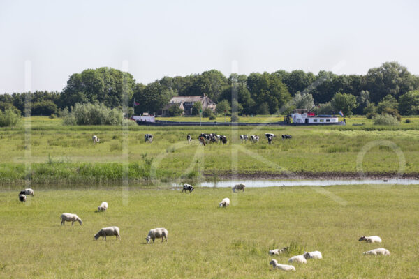 Landbouwlandschap (16B9052)