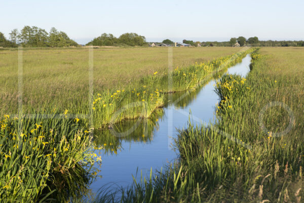 Landbouwlandschap (16B8954)