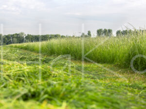 Overige veeteelt (16B3031)