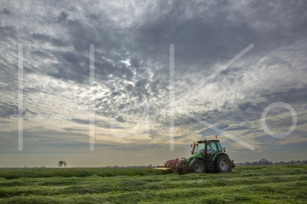 Overige veeteelt (16B3066)