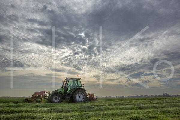 Overige veeteelt (16B3070)