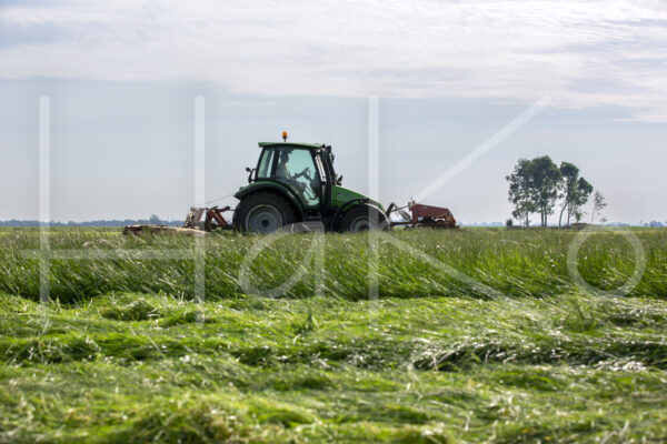 Overige veeteelt (16B3135)