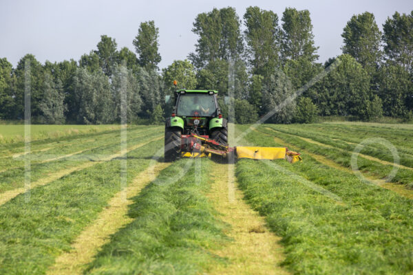 Overige veeteelt (16B3165)