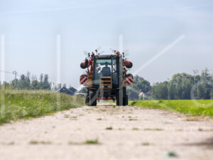 Overige veeteelt (16B3339)
