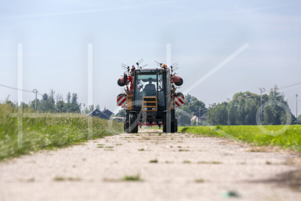 Overige veeteelt (16B3339)