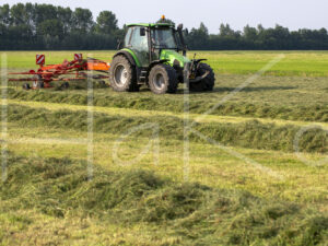 Overige veeteelt (16B3548)