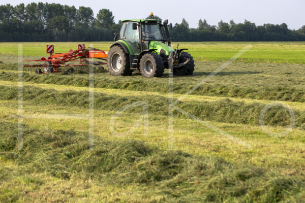 Overige veeteelt (16B3548)