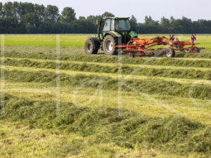 Overige veeteelt (16B3554)