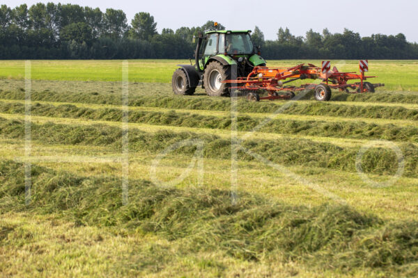 Overige veeteelt (16B3554)