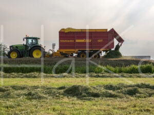 Overige veeteelt (16B3557)
