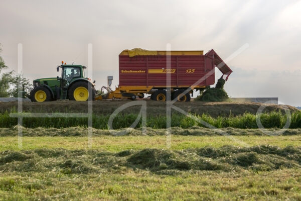 Overige veeteelt (16B3557)