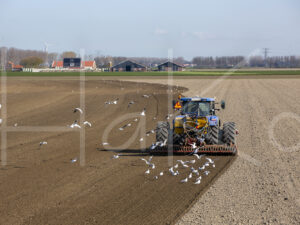 Overige akkerbouw (16B0123)