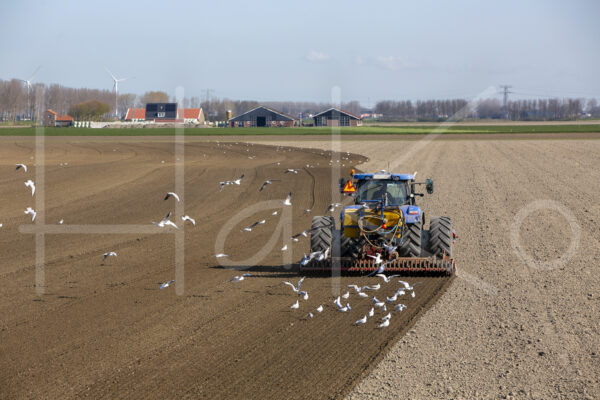 Overige akkerbouw (16B0123)
