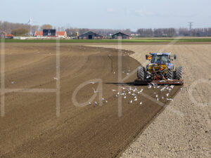Overige akkerbouw (16B0137)
