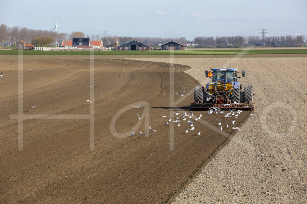 Overige akkerbouw (16B0137)
