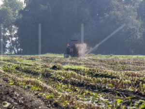 Overige veeteelt (16B2037)