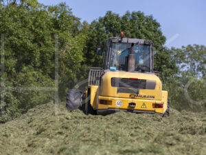 Overige veeteelt (16B2971)