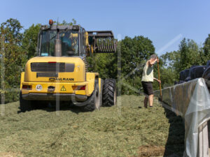 Overige veeteelt (16B3006)