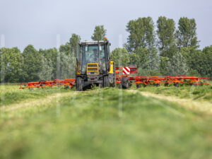 Overige veeteelt (16B3376)