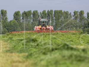 Overige veeteelt (16B3385)