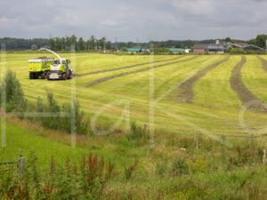 Overige veeteelt (16B4564)