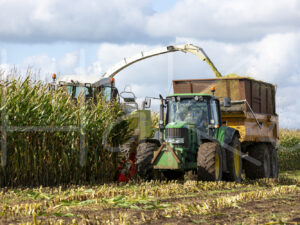 Maïsteelt (16B5586)