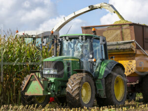 Maïsteelt (16B5591)