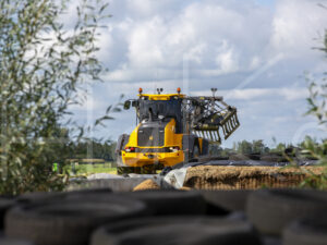 Maïsteelt (16B5673)