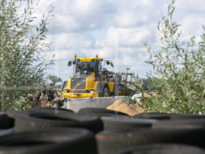 Maïsteelt (16B5677)