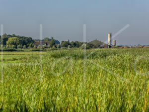 Landbouwlandschap (16B7088)