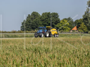 Overige veeteelt (16B7135)