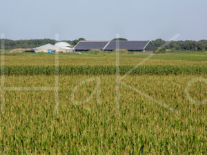 Landbouwlandschap (16B7203)