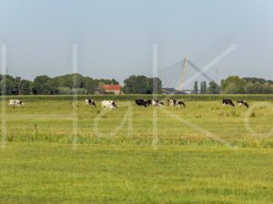 Landbouwlandschap (16B7209)