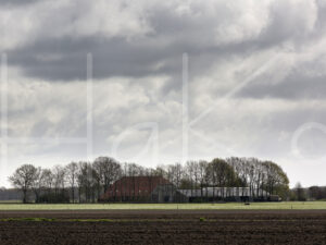 Landbouwlandschap (16B7644)