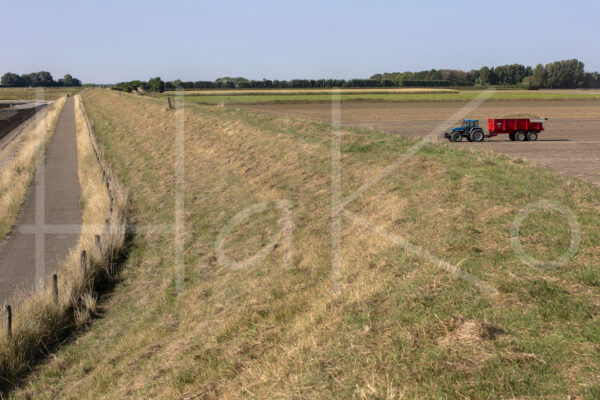 Aardappelteelt (16B7693)