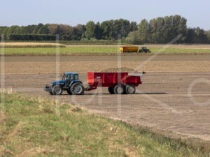 Aardappelteelt (16B7695)